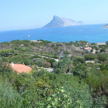 Perdas Monte Petrosu